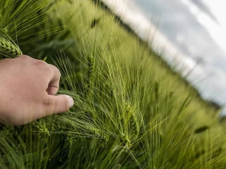 Ketika Allah Menolak Menyembuhkan Nabi Musa